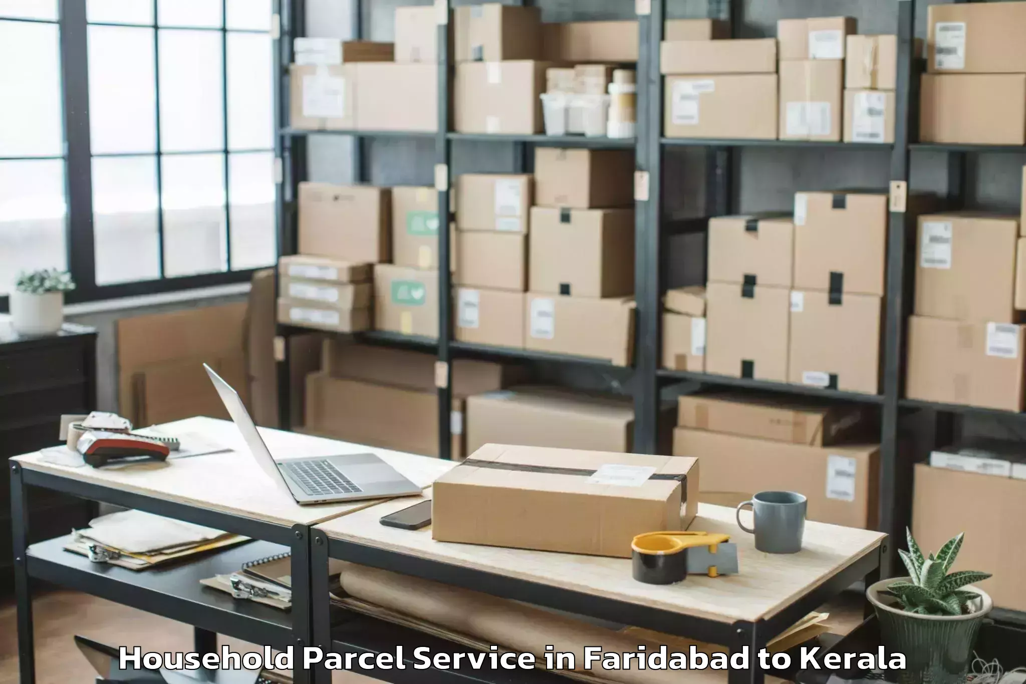 Affordable Faridabad to Cherpulassery Household Parcel